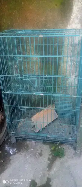 Kandang kucing 2 tingkat