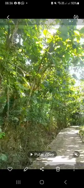 JUAL TANAH DI PENDOWOREJO GIRIMULYO KULONPROGO
