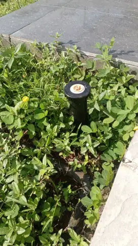 Pasang pompa air.servise.penyiram taman sprinkel.cuci toren
