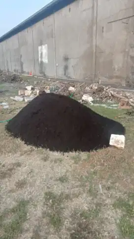 Pasir Hitam biasa kualitas terbaik free ongkir
