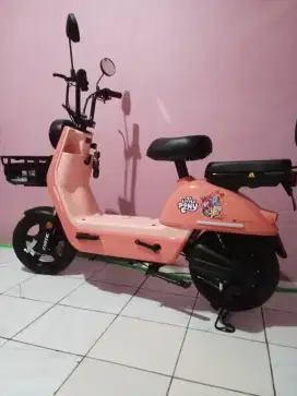 Jual Sepeda listrik Merk Exotic
