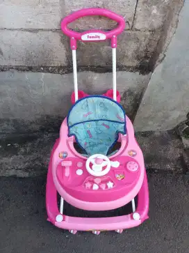 Baby Walker family