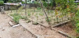 JUAL TANAH 600m2 (dekat GALUHMAS, KIIC)