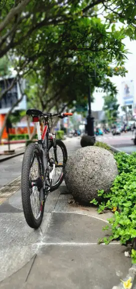 SEPEDA MTB PACIFIC ESPLENDID 9.0, FREEHUB NOVATEC, VELG FOLKER DIRT 3,