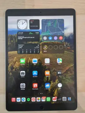 Ipad pro 2017 10,5 inch 64gb