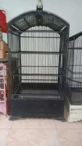 Sangkar kosan uk 50 x 50