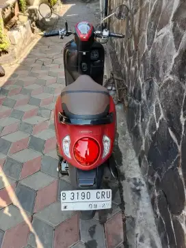 Honda scoopy thn 2022
