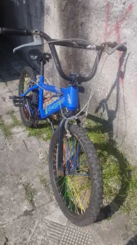 Sepeda bmx eveergreend