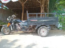 Viar 150cc std 2013