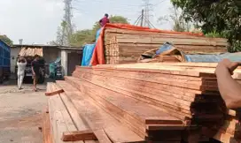 Jual bambu steger 10 -12