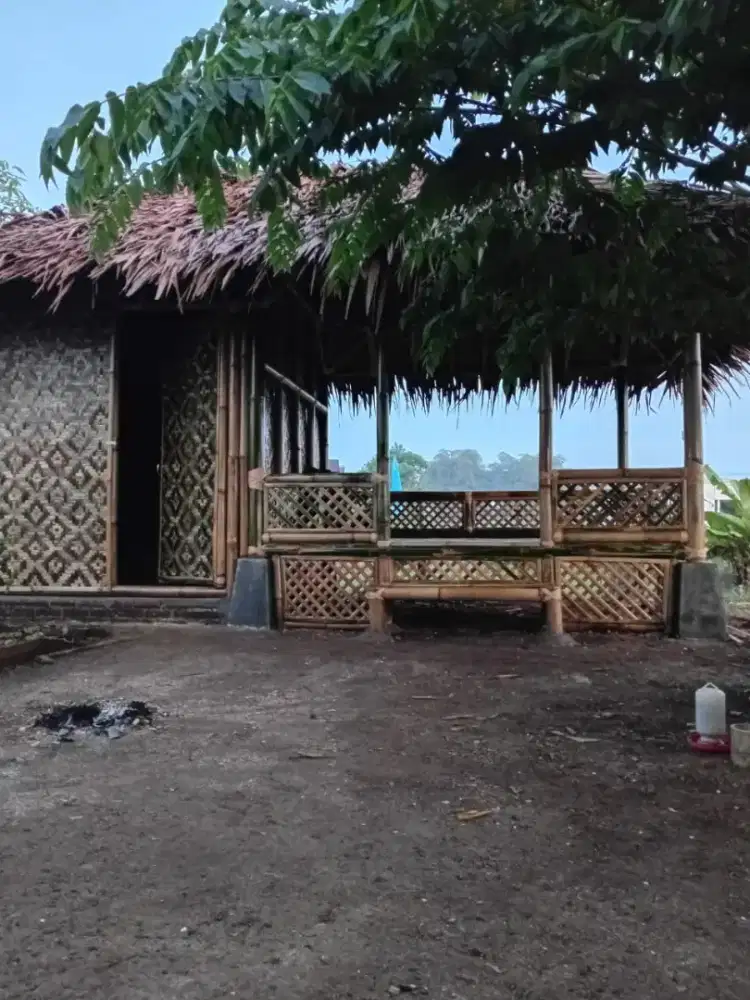 Saung bambu hitam