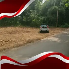 Area Pemda Sleman Jalan Magelang SHM P