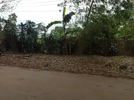 DIJUAL LAHAN KOSONG LUAS 4 HA DI PARAKANLIMA