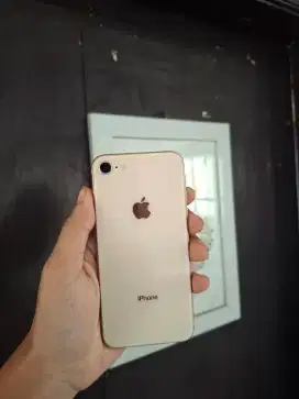 Iphone 8 64gb inter all operator nominus