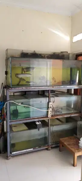 Jual aquarium 3 rak