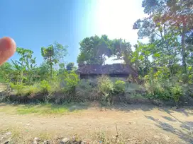Tanah Pekarangan Murah Siap Bangun di Bantul Kota TP 058