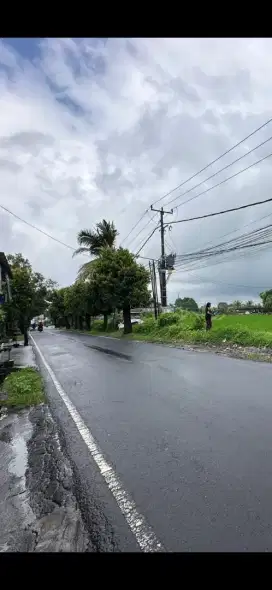 Di kontrakan tanah jalan Raya Tebongkang , Ubud, Bali