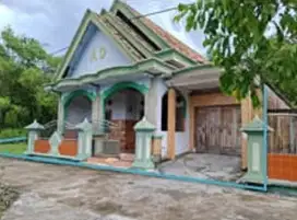 RUMAH DI DESA CUNGKUP, PUCUK LAMONGAN