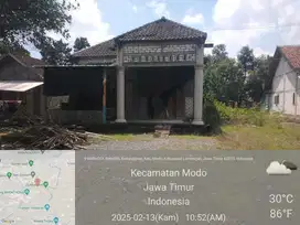RUMAH DI KEDUNGLEREP, MODO LAMONGAN