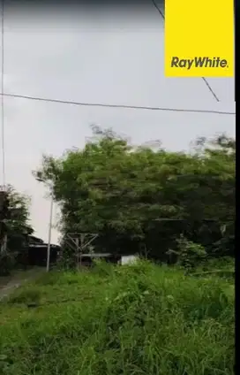 Dijual Tanah SHM di Nol Jalan Raya Bangkingan Surabaya