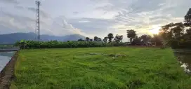 Tanah Luas 4.024 m² Pinggir Jalan Ambarawa – Bisa Nego‼️