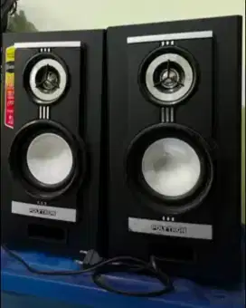 Speaker Polytron