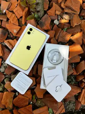 iPhone 11 Base Model