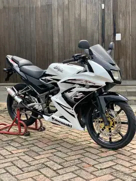 KAWASAKI NINJA 150 rr ALBINO