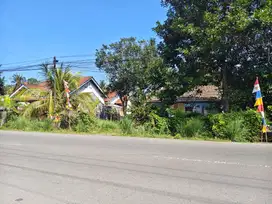 TANAH SHM BONUS RUMAH DI JALAN GERILYA KURIPAN