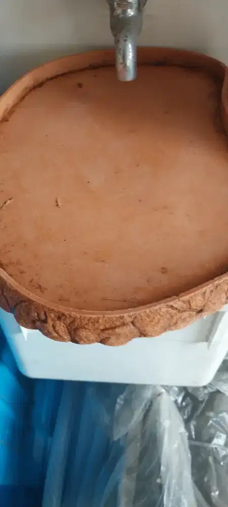 Jual 2 tempat makanan kura kura darat