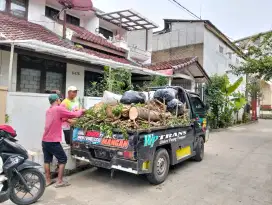 Jasa tebang pohon dan potong rumput