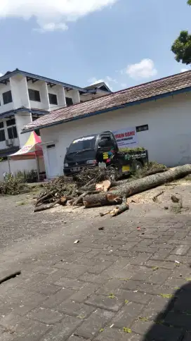 Jasa tebang pohon dan potong rumput