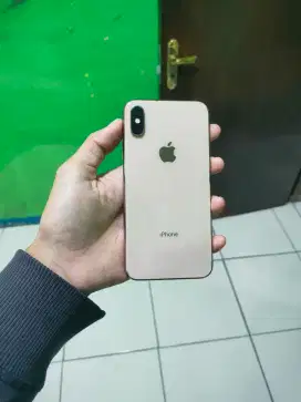 iPhone Xs 64gb inter