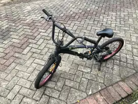Sepeda Anak Freestyle