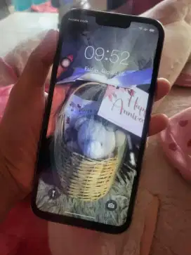 Iphone 13 promax