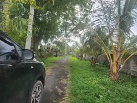Tanah Murah Siap Bangun di Ubud Gianyar