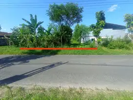 DIJUAL TANAH PEKARANGAN MANGKU JALAN UTAMA CANGKRINGAN
