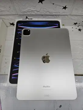 Ipad pro 11inch gen4 512gb wifi only