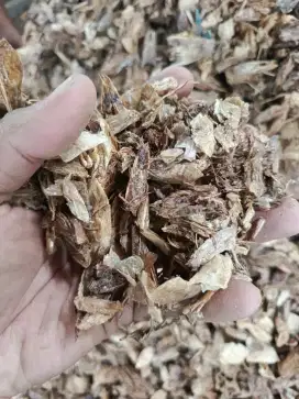 Pakan ternak pala udang halus