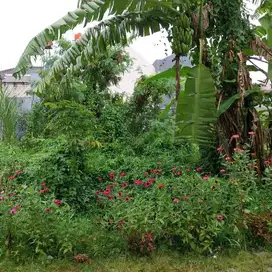 Tanah Matang Siap Bangun Margawangi Ciwastra