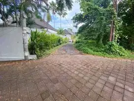 LANGKA DI JUAL TANAH LUAS DI PANTAI PERERENAN BALI  KJN043