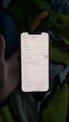 iphone 12 pro max 256gb