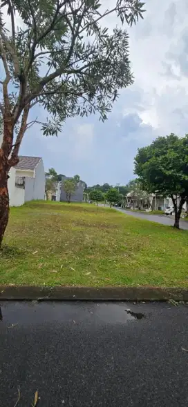 Dijual Tanah di Cluster Caryota, Monteverde Citraland