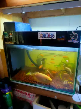 Tank fulset tinggal pake
