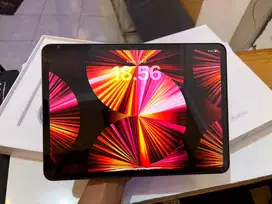 iPad Pro 11-inch M1 256GB WiFi Garansi Inter 28 September 2025