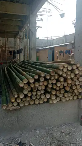 Jual bambu steger cor