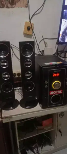 Speaker polytron