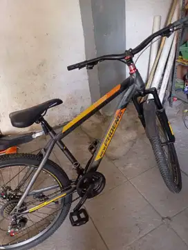 sepeda gunung phoenix baru 5 bulan normal siap pakai