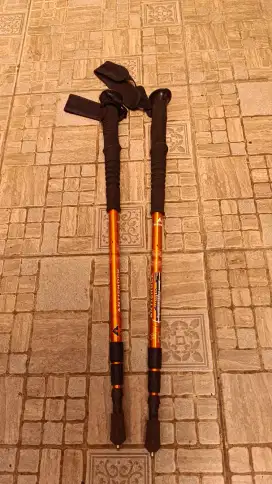 Tongkat Hiking Eiger / tracking pole - 2 pcs