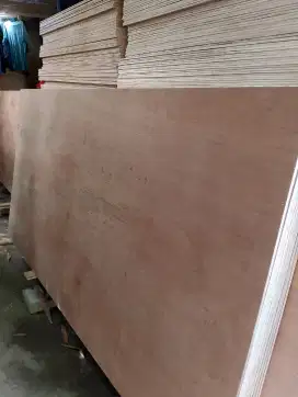 Jual bambu steger cor panjang 6 meter